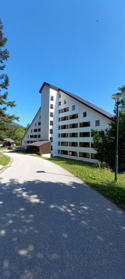 Apartment Kleine Auszeit Bad Mitterndorf Exterior foto